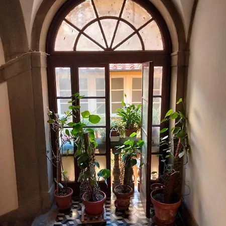 Sui Tetti *